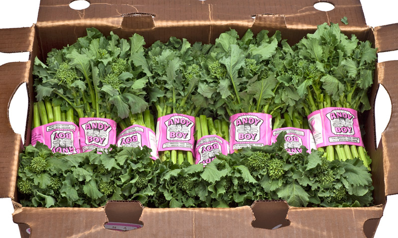 Broccoli Rabe